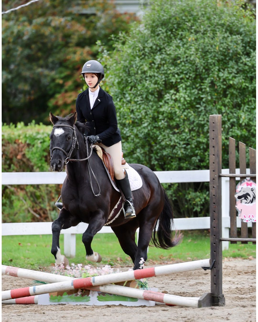 IEA Horse Show, Hannover MA - October 11, 2026 File: ./261011-IEA-Hanover-MA-October-11-2026-68.jpg IEA Horse Show, Hannover MA - October 11, 2026 – 2026 Briggs Stable IEA Show – Oct 11, 2026 – 623 Hanover St, Hanover, MA 02339 – bib #11