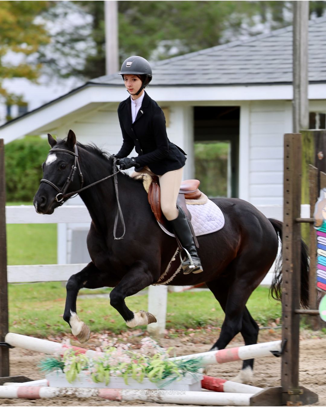IEA Horse Show, Hannover MA - October 11, 2026 File: ./261011-IEA-Hanover-MA-October-11-2026-69.jpg IEA Horse Show, Hannover MA - October 11, 2026 – 2026 Briggs Stable IEA Show – Oct 11, 2026 – 623 Hanover St, Hanover, MA 02339 – bib #11