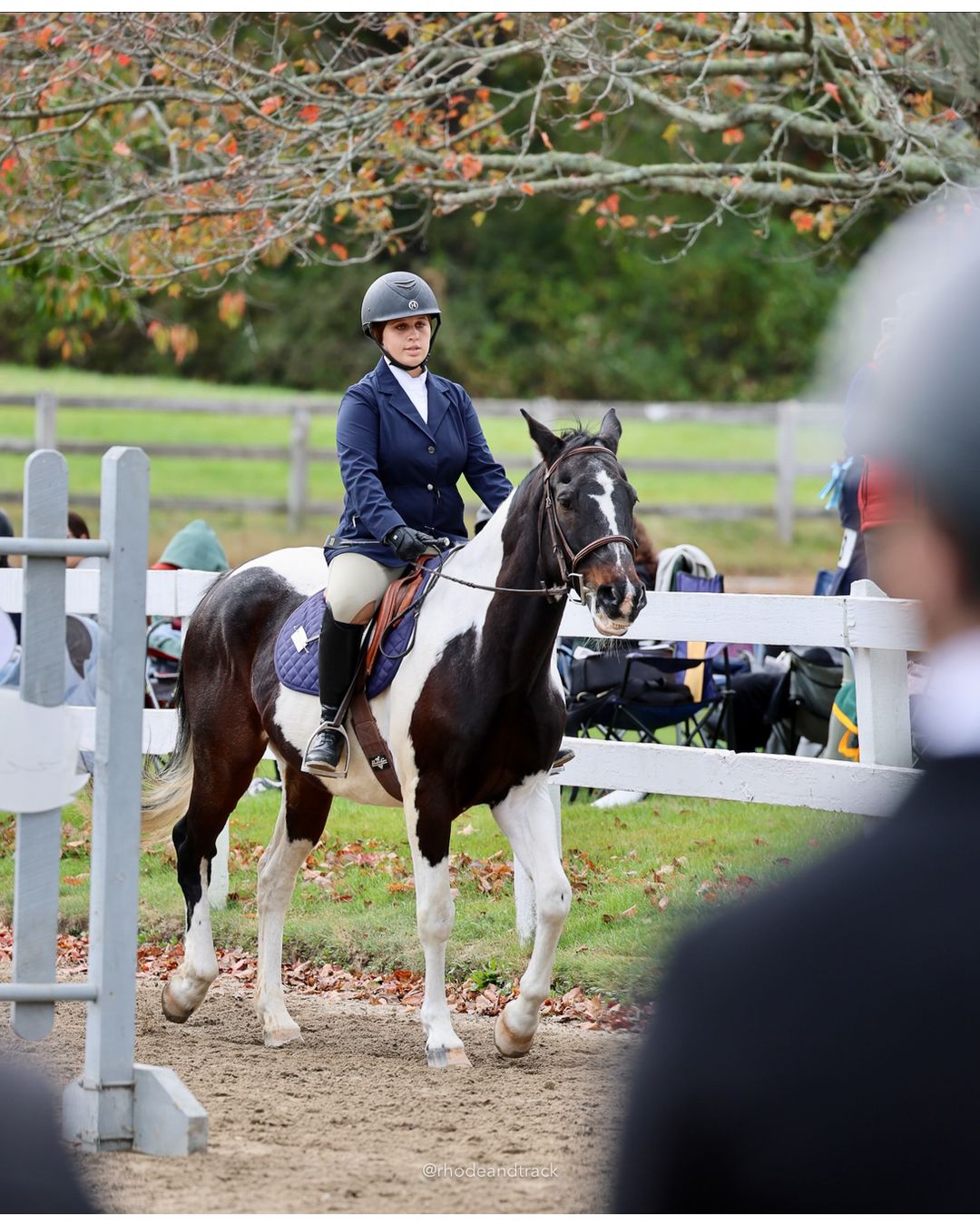 IEA Horse Show, Hannover MA - October 11, 2026 File: ./261011-IEA-Hanover-MA-October-11-2026-7.jpg IEA Horse Show, Hannover MA - October 11, 2026 – 2026 Briggs Stable IEA Show – Oct 11, 2026 – 623 Hanover St, Hanover, MA 02339 – bib #11