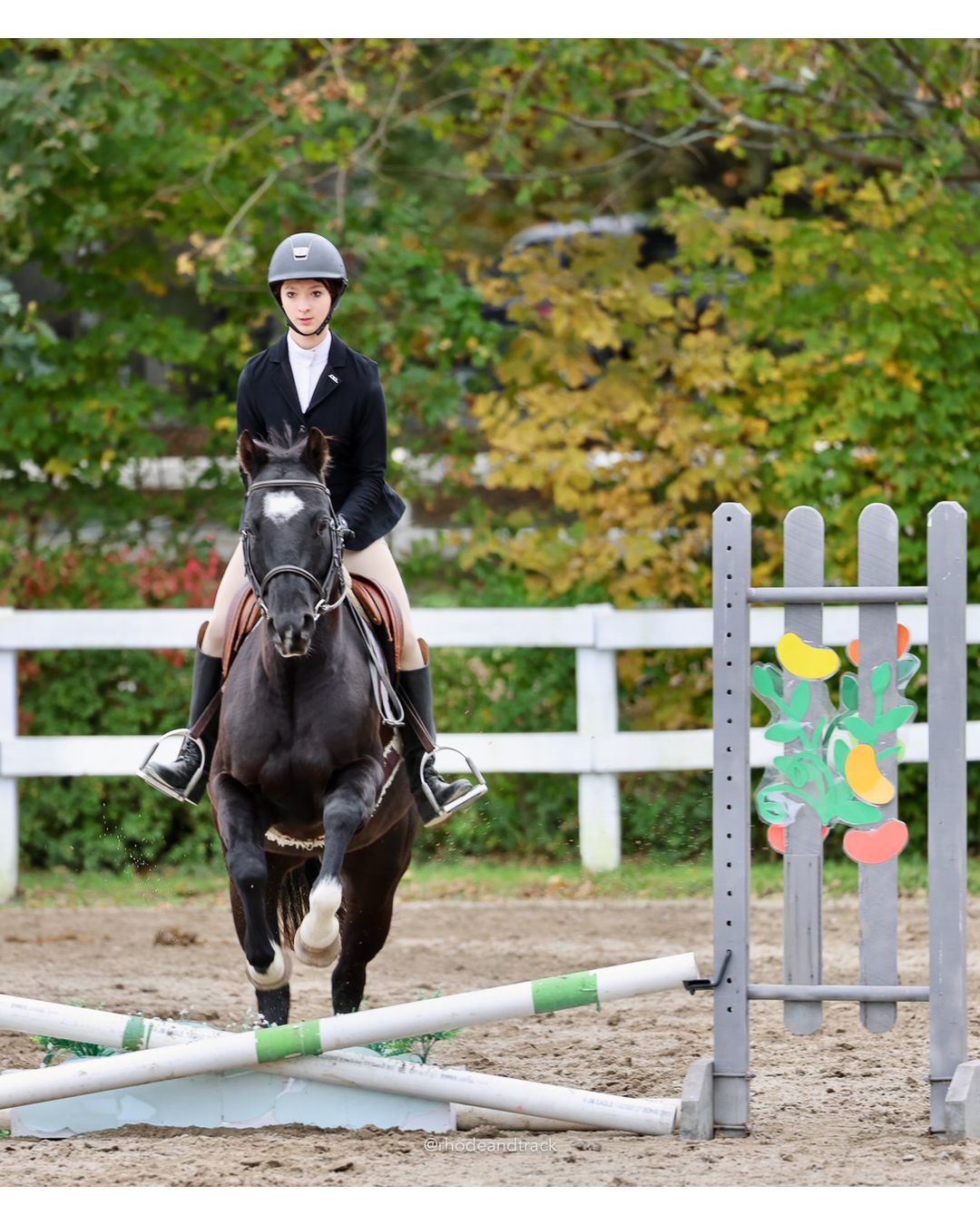 IEA Horse Show, Hannover MA - October 11, 2026 File: ./261011-IEA-Hanover-MA-October-11-2026-70.jpg IEA Horse Show, Hannover MA - October 11, 2026 – 2026 Briggs Stable IEA Show – Oct 11, 2026 – 623 Hanover St, Hanover, MA 02339 – bib #11