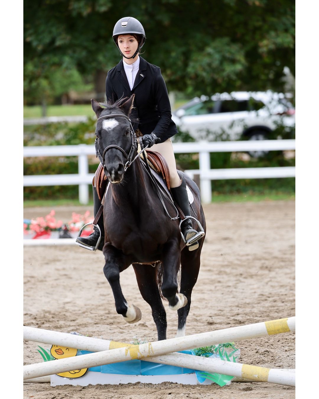 IEA Horse Show, Hannover MA - October 11, 2026 File: ./261011-IEA-Hanover-MA-October-11-2026-71.jpg IEA Horse Show, Hannover MA - October 11, 2026 – 2026 Briggs Stable IEA Show – Oct 11, 2026 – 623 Hanover St, Hanover, MA 02339 – bib #11