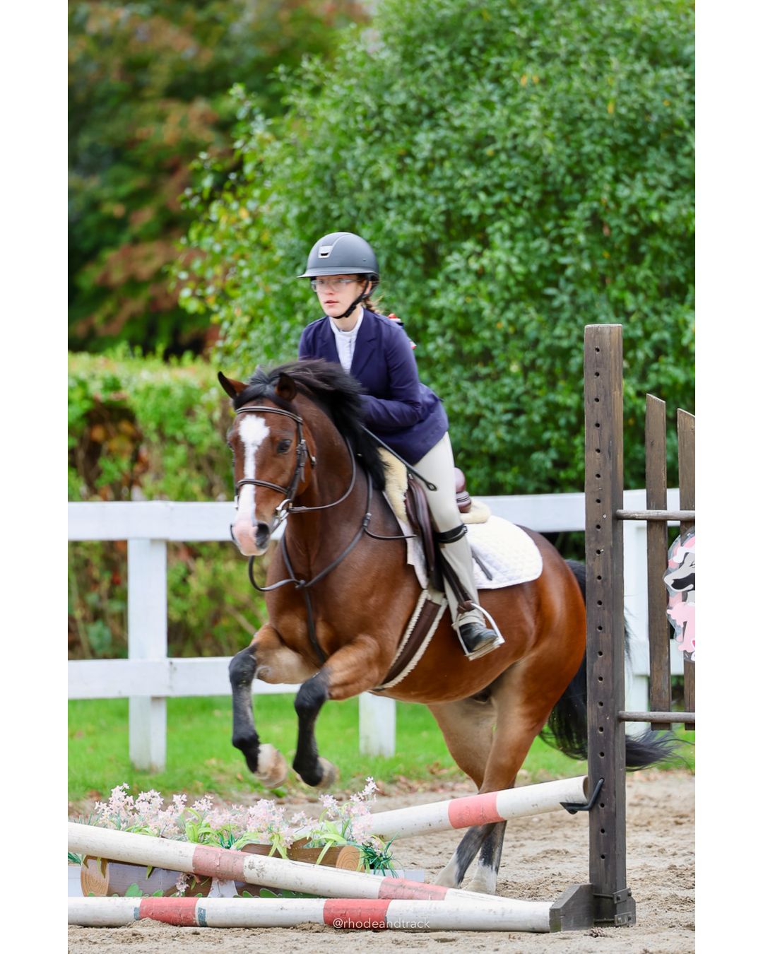 IEA Horse Show, Hannover MA - October 11, 2026 File: ./261011-IEA-Hanover-MA-October-11-2026-72.jpg IEA Horse Show, Hannover MA - October 11, 2026 – 2026 Briggs Stable IEA Show – Oct 11, 2026 – 623 Hanover St, Hanover, MA 02339 – bib #11