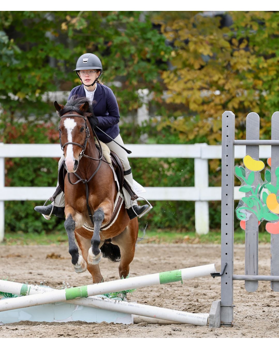IEA Horse Show, Hannover MA - October 11, 2026 File: ./261011-IEA-Hanover-MA-October-11-2026-74.jpg IEA Horse Show, Hannover MA - October 11, 2026 – 2026 Briggs Stable IEA Show – Oct 11, 2026 – 623 Hanover St, Hanover, MA 02339 – bib #11