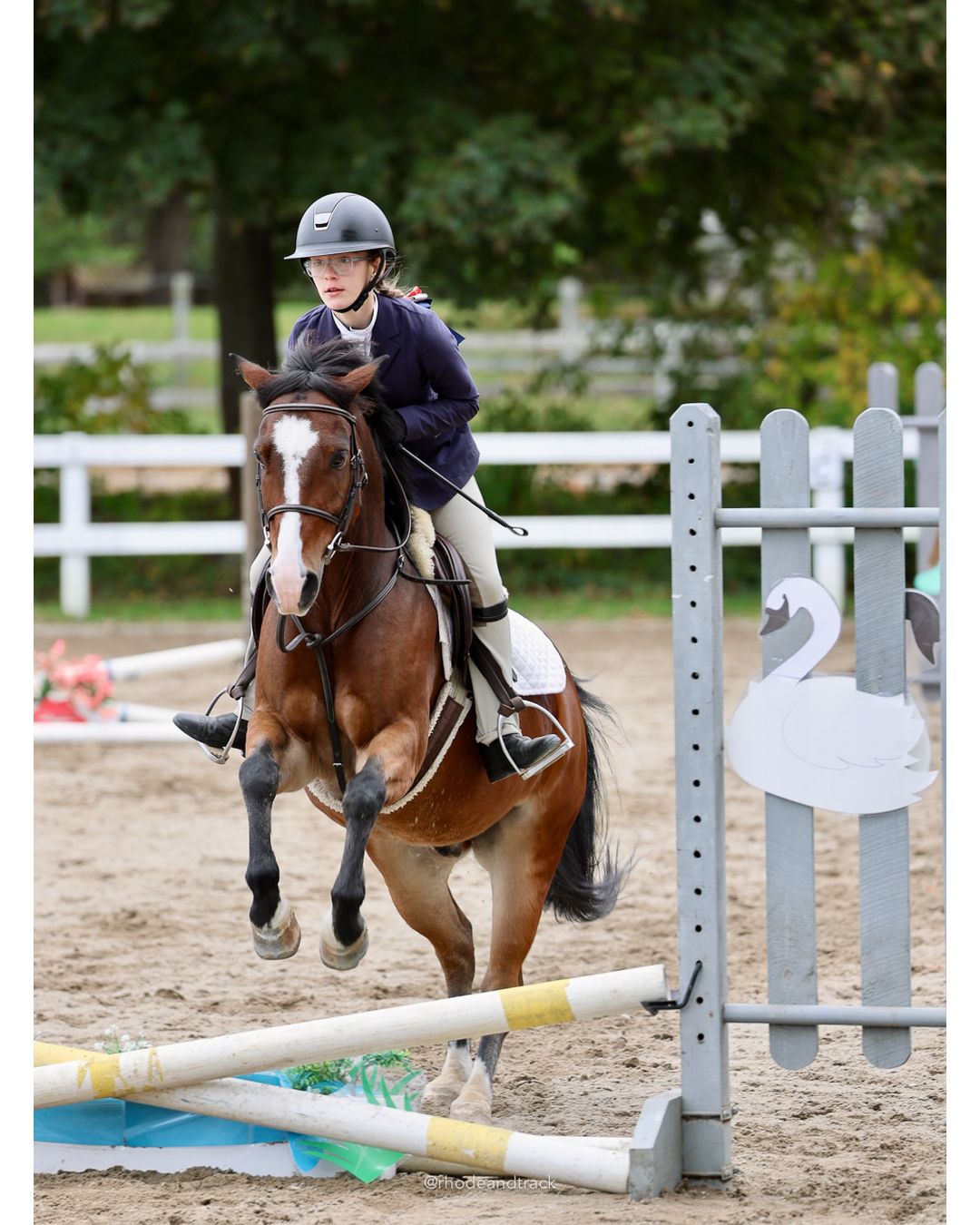 IEA Horse Show, Hannover MA - October 11, 2026 File: ./261011-IEA-Hanover-MA-October-11-2026-75.jpg IEA Horse Show, Hannover MA - October 11, 2026 – 2026 Briggs Stable IEA Show – Oct 11, 2026 – 623 Hanover St, Hanover, MA 02339 – bib #11