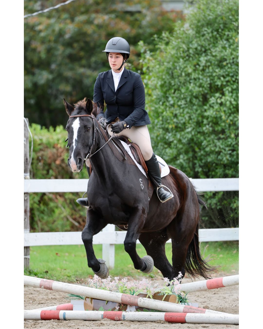 IEA Horse Show, Hannover MA - October 11, 2026 File: ./261011-IEA-Hanover-MA-October-11-2026-76.jpg IEA Horse Show, Hannover MA - October 11, 2026 – 2026 Briggs Stable IEA Show – Oct 11, 2026 – 623 Hanover St, Hanover, MA 02339 – bib #11
