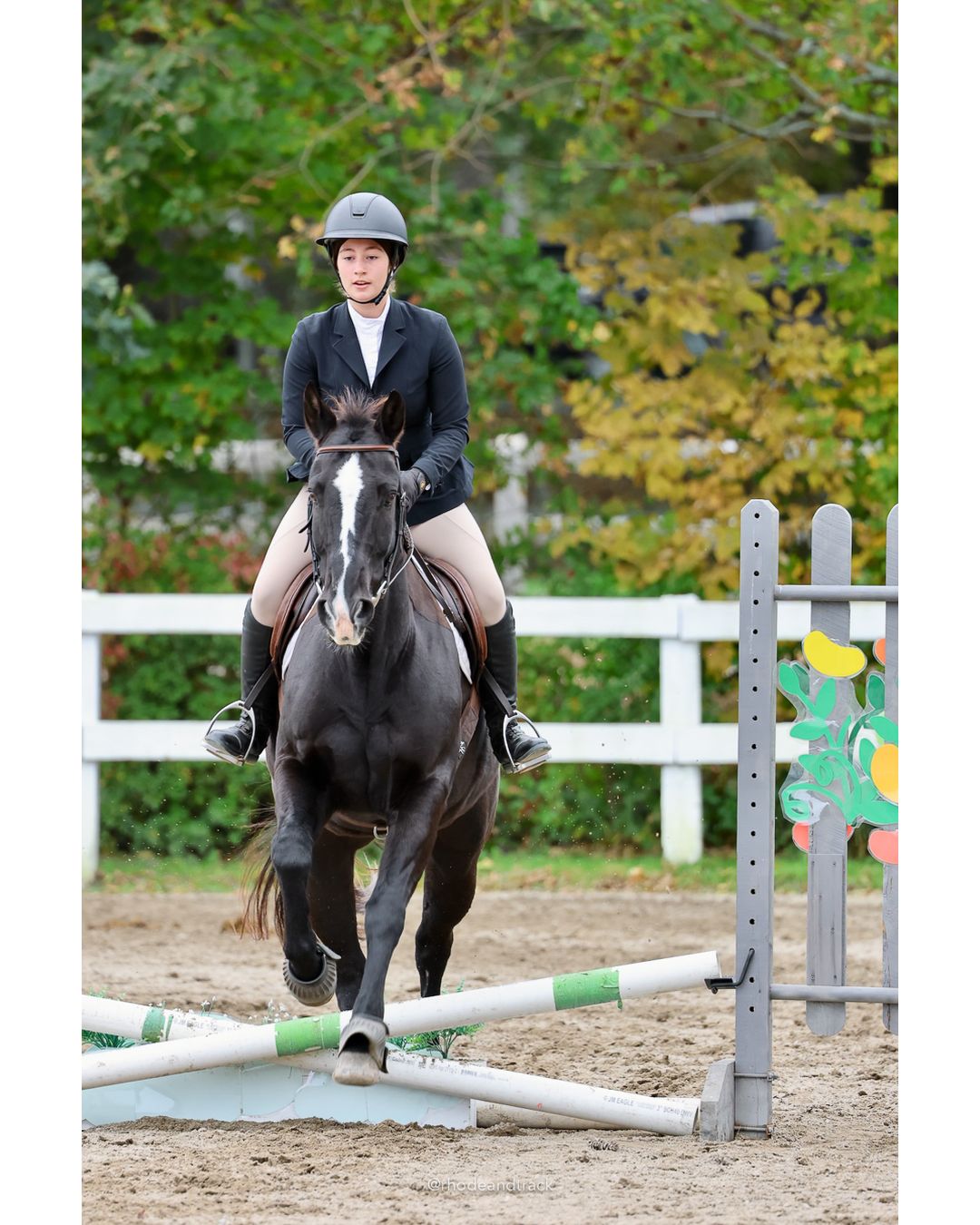 IEA Horse Show, Hannover MA - October 11, 2026 File: ./261011-IEA-Hanover-MA-October-11-2026-78.jpg IEA Horse Show, Hannover MA - October 11, 2026 – 2026 Briggs Stable IEA Show – Oct 11, 2026 – 623 Hanover St, Hanover, MA 02339 – bib #11