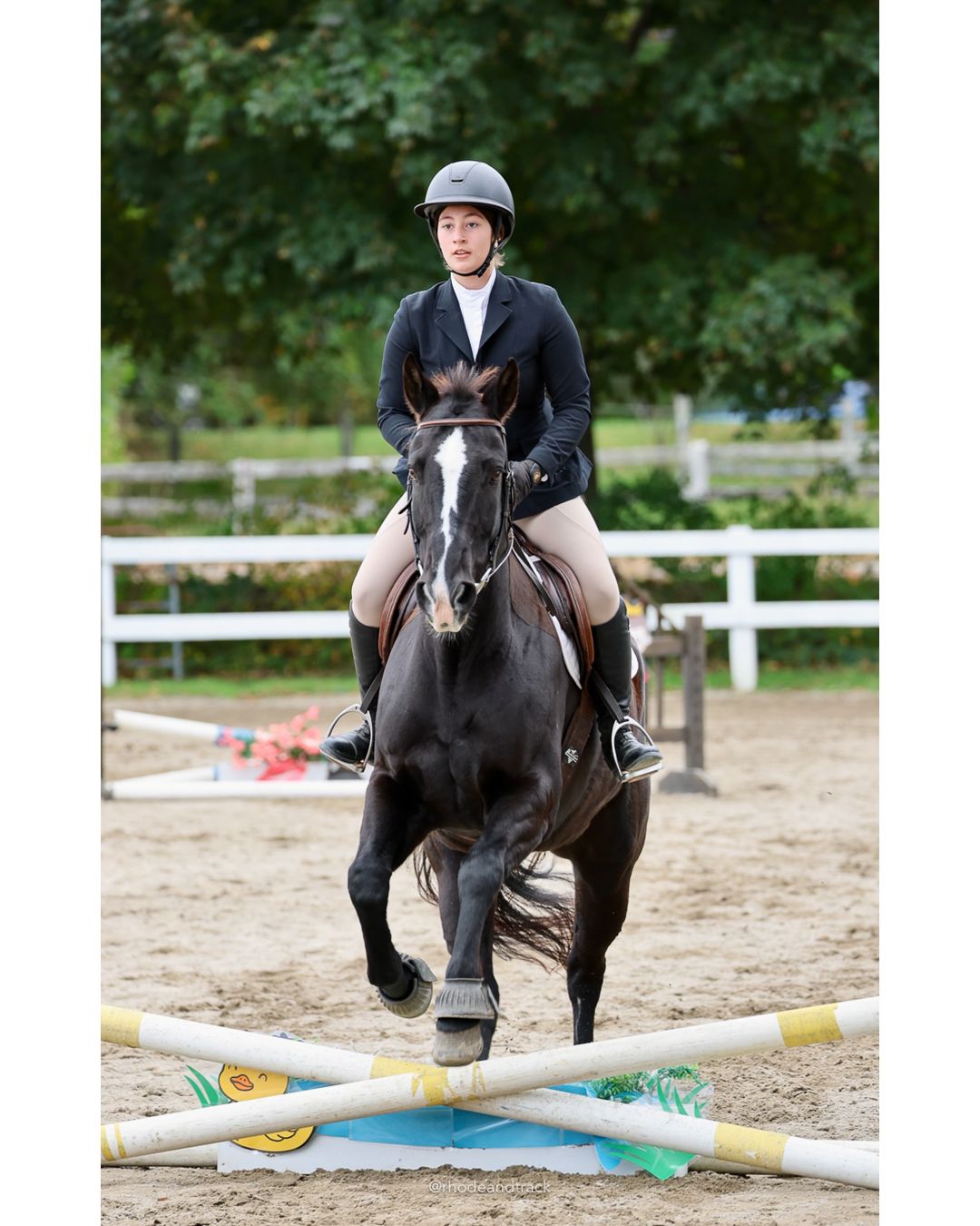 IEA Horse Show, Hannover MA - October 11, 2026 File: ./261011-IEA-Hanover-MA-October-11-2026-79.jpg IEA Horse Show, Hannover MA - October 11, 2026 – 2026 Briggs Stable IEA Show – Oct 11, 2026 – 623 Hanover St, Hanover, MA 02339 – bib #11