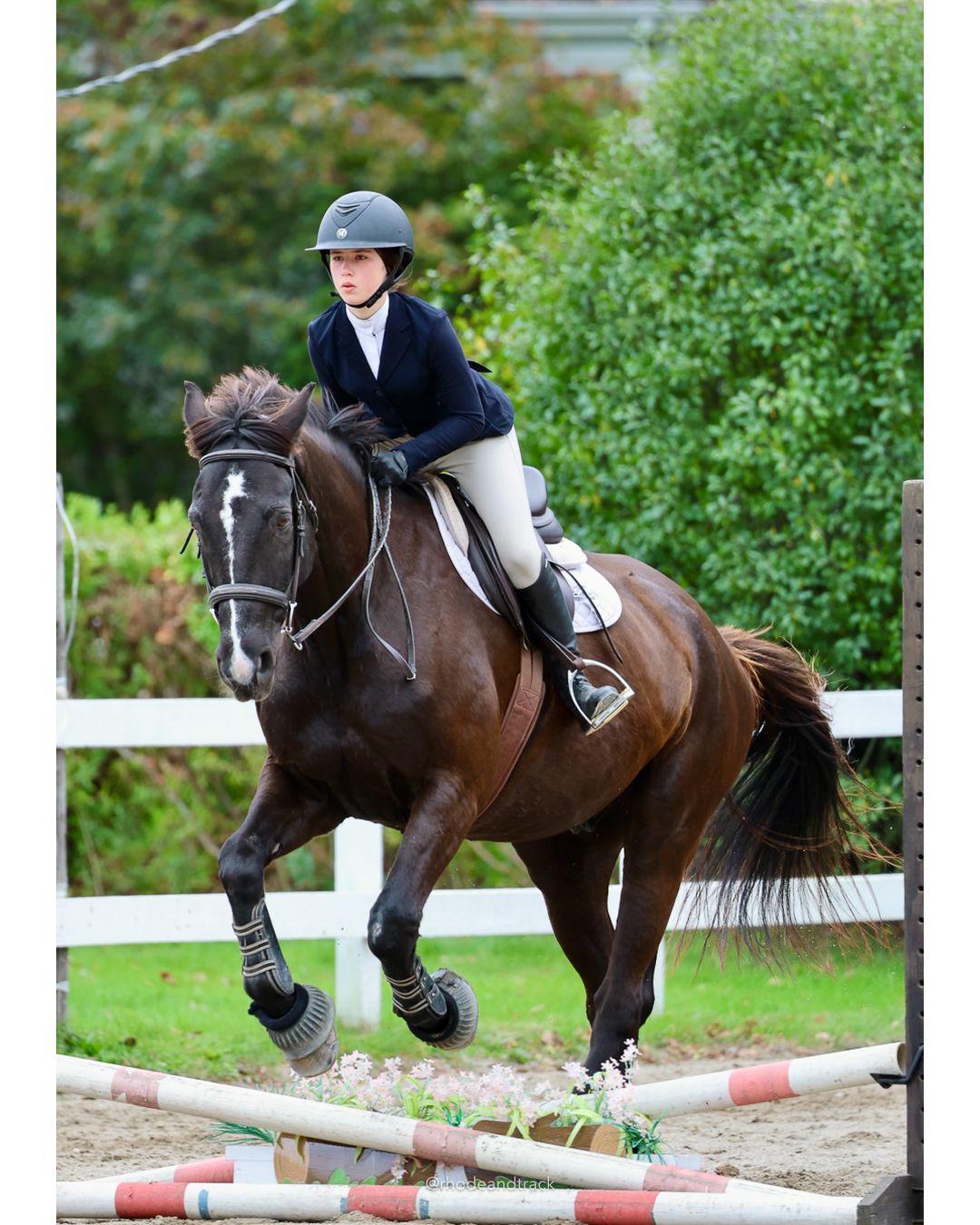 IEA Horse Show, Hannover MA - October 11, 2026 File: ./261011-IEA-Hanover-MA-October-11-2026-80.jpg IEA Horse Show, Hannover MA - October 11, 2026 – 2026 Briggs Stable IEA Show – Oct 11, 2026 – 623 Hanover St, Hanover, MA 02339 – bib #11
