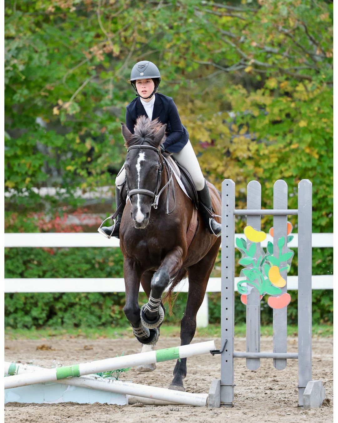 IEA Horse Show, Hannover MA - October 11, 2026 File: ./261011-IEA-Hanover-MA-October-11-2026-82.jpg IEA Horse Show, Hannover MA - October 11, 2026 – 2026 Briggs Stable IEA Show – Oct 11, 2026 – 623 Hanover St, Hanover, MA 02339 – bib #11