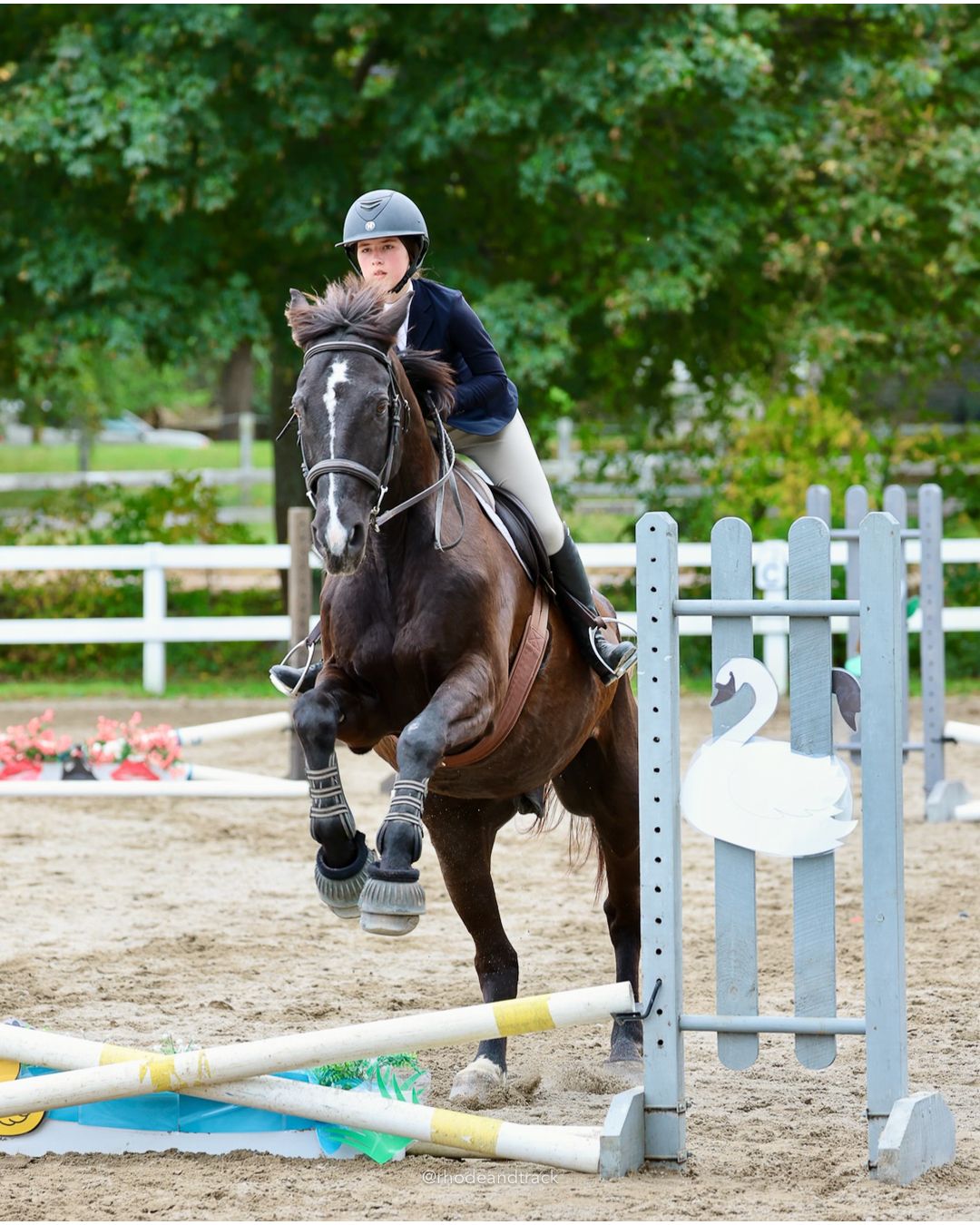 IEA Horse Show, Hannover MA - October 11, 2026 File: ./261011-IEA-Hanover-MA-October-11-2026-83.jpg IEA Horse Show, Hannover MA - October 11, 2026 – 2026 Briggs Stable IEA Show – Oct 11, 2026 – 623 Hanover St, Hanover, MA 02339 – bib #11