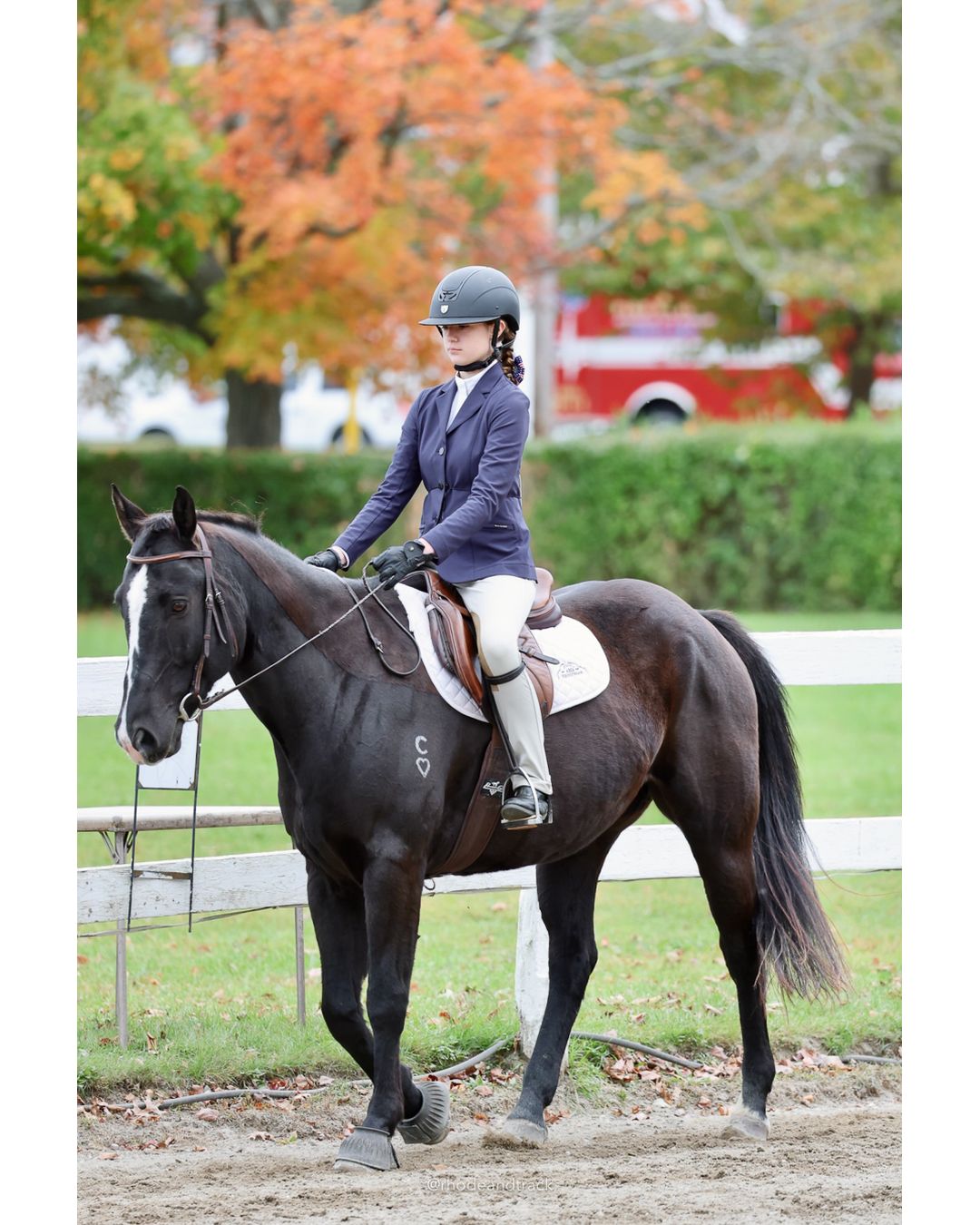 IEA Horse Show, Hannover MA - October 11, 2026 File: ./261011-IEA-Hanover-MA-October-11-2026-86.jpg IEA Horse Show, Hannover MA - October 11, 2026 – 2026 Briggs Stable IEA Show – Oct 11, 2026 – 623 Hanover St, Hanover, MA 02339 – bib #11