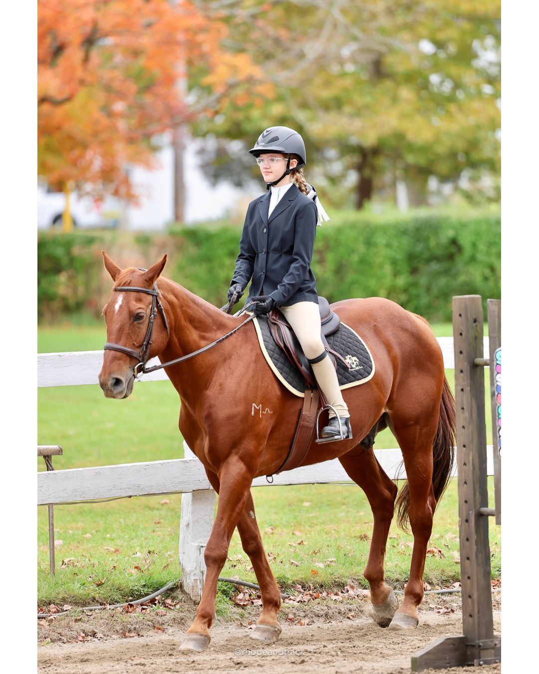 IEA Horse Show, Hannover MA - October 11, 2026 File: ./261011-IEA-Hanover-MA-October-11-2026-87.jpg IEA Horse Show, Hannover MA - October 11, 2026 – 2026 Briggs Stable IEA Show – Oct 11, 2026 – 623 Hanover St, Hanover, MA 02339 – bib #11