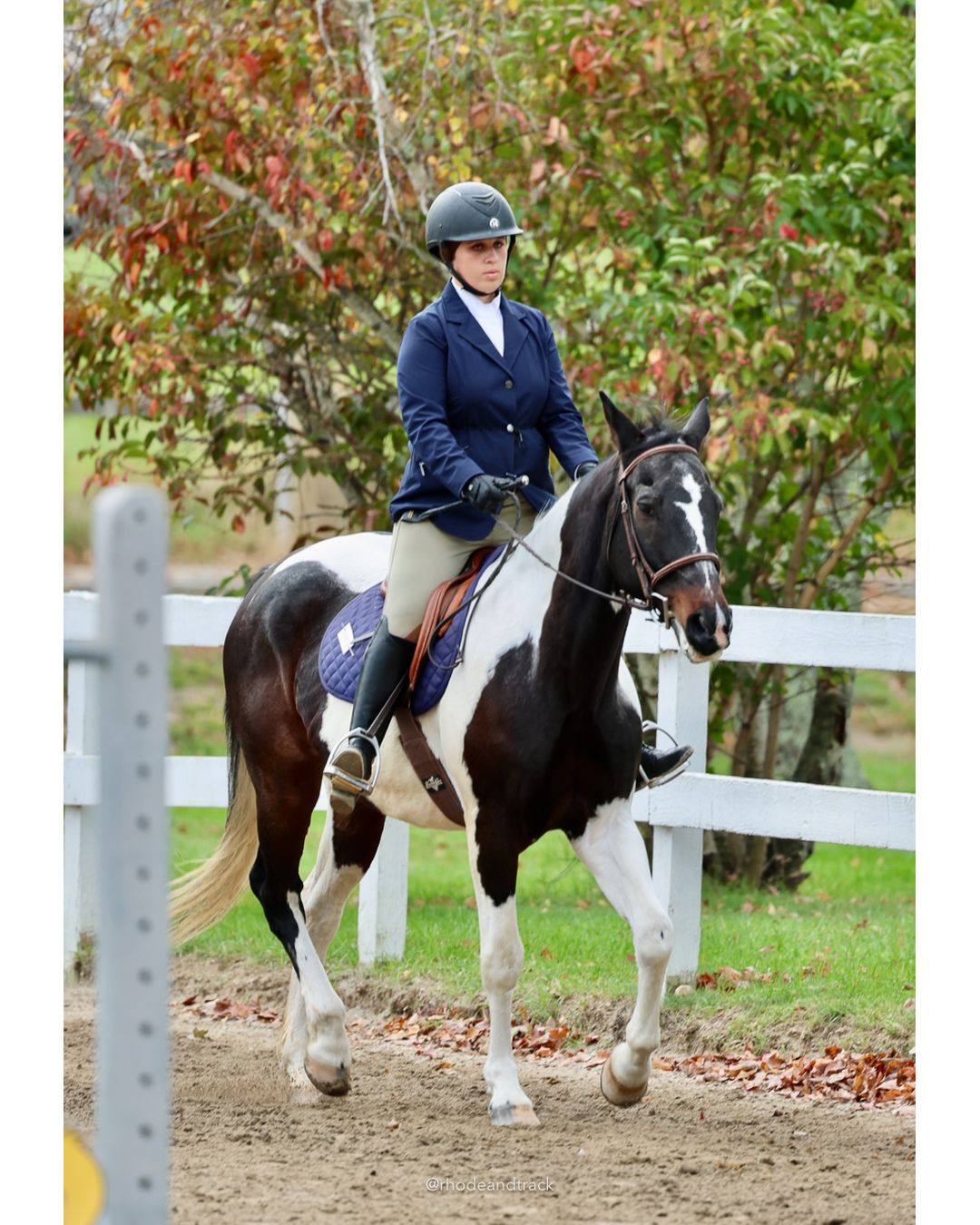 IEA Horse Show, Hannover MA - October 11, 2026 File: ./261011-IEA-Hanover-MA-October-11-2026-9.jpg IEA Horse Show, Hannover MA - October 11, 2026 – 2026 Briggs Stable IEA Show – Oct 11, 2026 – 623 Hanover St, Hanover, MA 02339 – bib #11