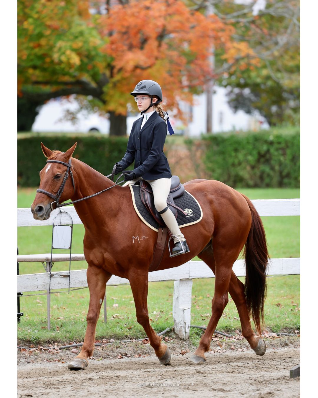 IEA Horse Show, Hannover MA - October 11, 2026 File: ./261011-IEA-Hanover-MA-October-11-2026-91.jpg IEA Horse Show, Hannover MA - October 11, 2026 – 2026 Briggs Stable IEA Show – Oct 11, 2026 – 623 Hanover St, Hanover, MA 02339 – bib #11